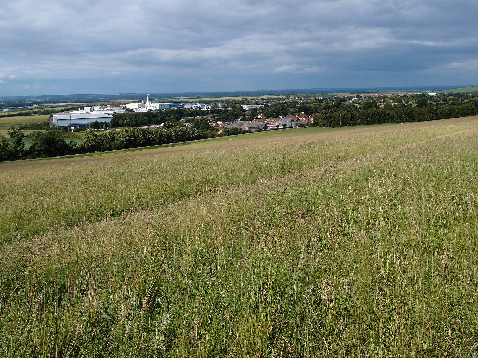 Royston seen from Therfield Heath, with the town spread out below